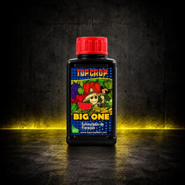 TOP CROP BIG ONE 100ML