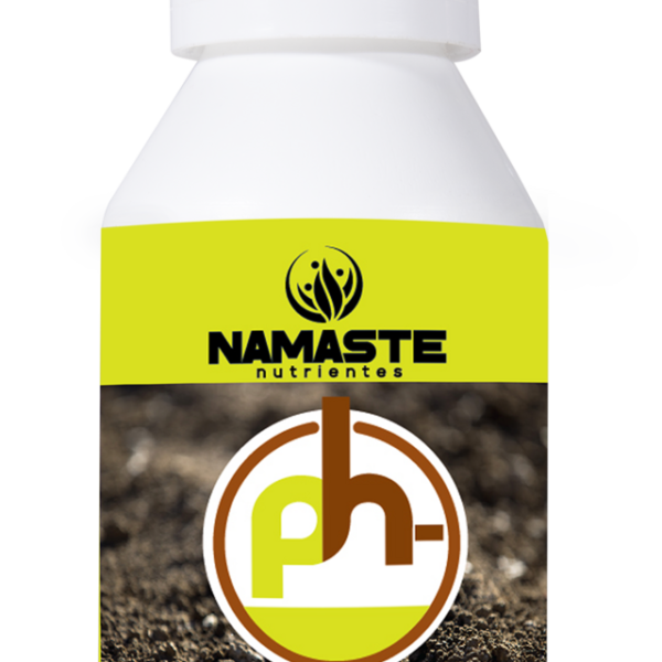 NAMASTE PH - 100ML