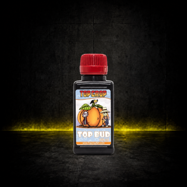 TOP CROP TOP BUD 100ML
