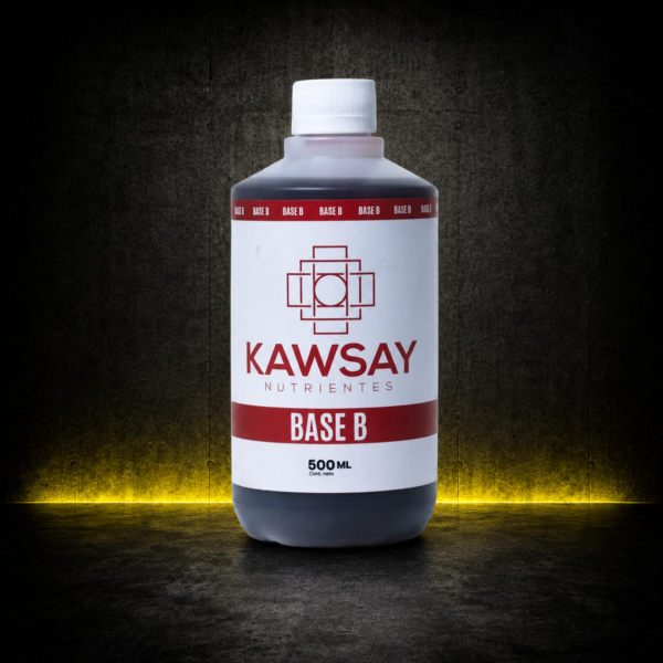 KAWSAY BASE B 500ML