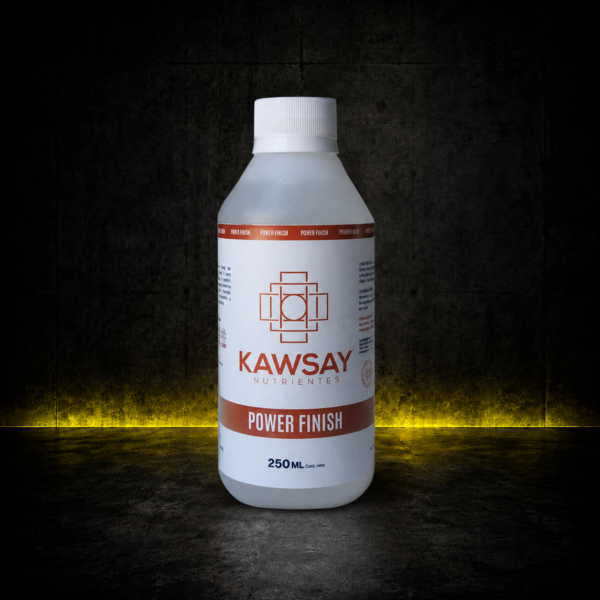 KAWSAY POWER FINISH 250ML