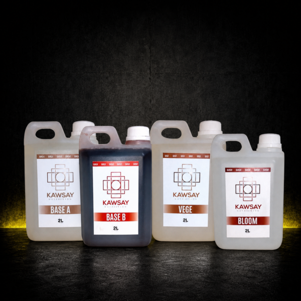 KAWSAY - KIT 2L