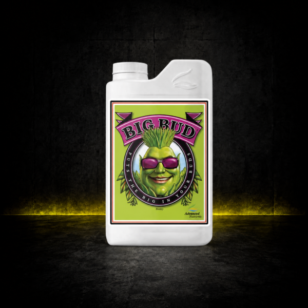 ADVANCED BIG BUD 500ML