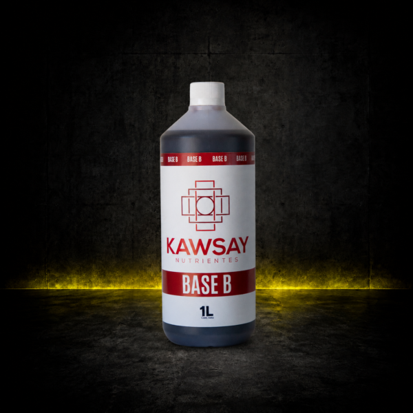 KAWSAY BASE B 1 LT