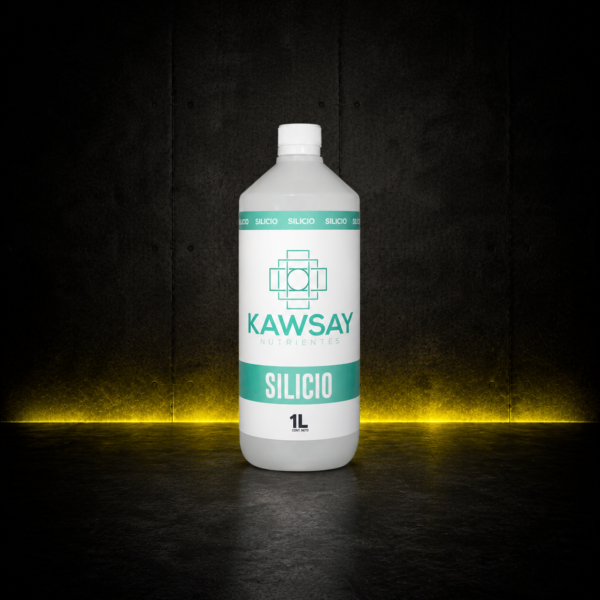KAWSAY SILICIO 1L